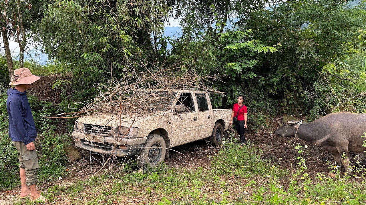 Girl restores abandoned 1996 ISUZU (4x4) pickup truck after 20 years