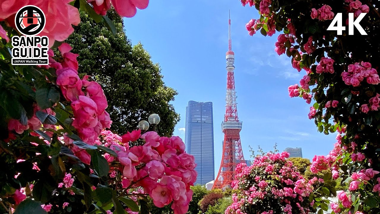 Район Токийской башни - пешеходная экскурсия | 4K 東京散歩 ТОКИО ЯПОНИЯ