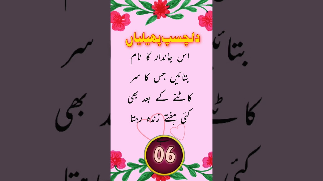 riddles in urdu  - urdu riddles #urdu #pahiliyan