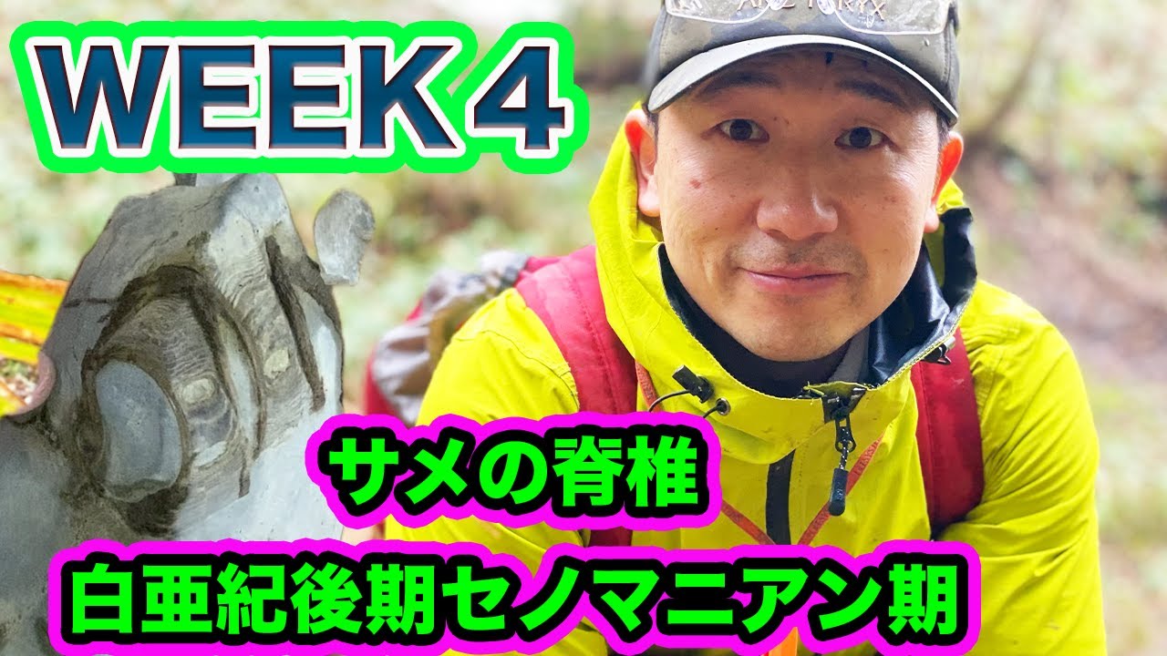 【S6】WEEK４ 大発見サメの脊椎！白亜紀後期セニマニアン　恐竜化石に近づいたか！？