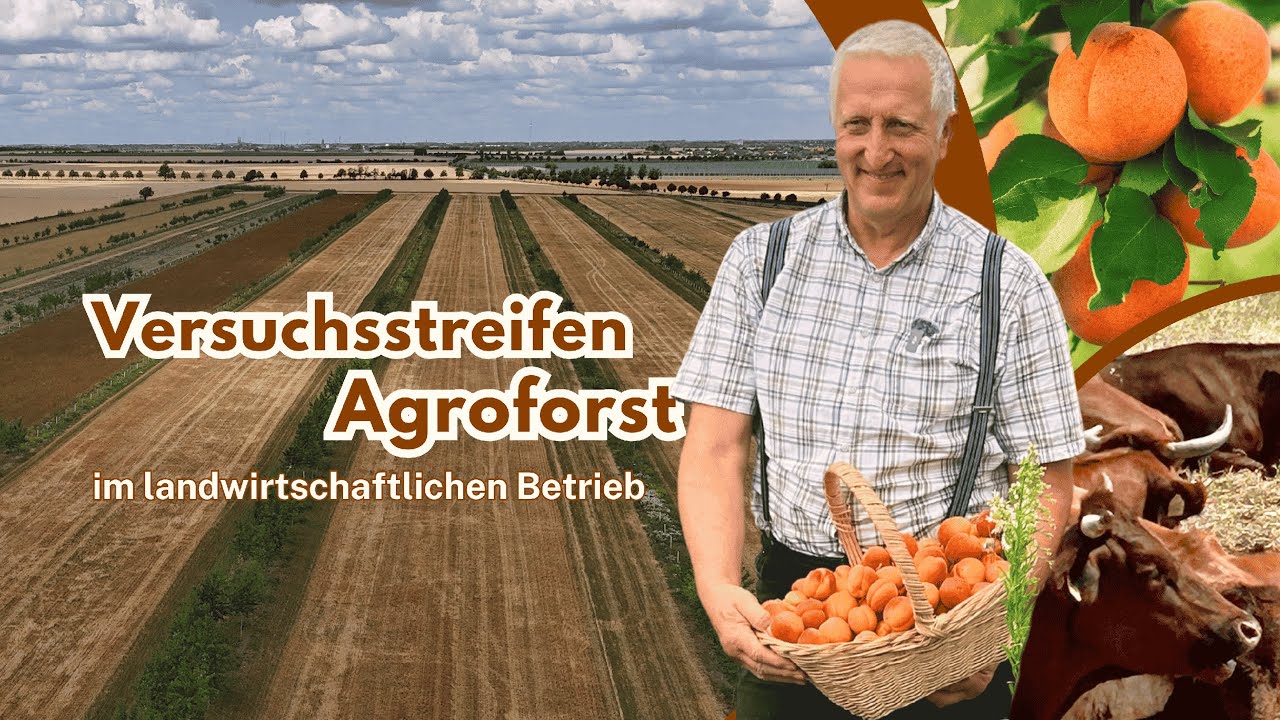 BÄUME AUF DEM ACKER • Dr. Eicke Zschoche • Agroforst-Tester