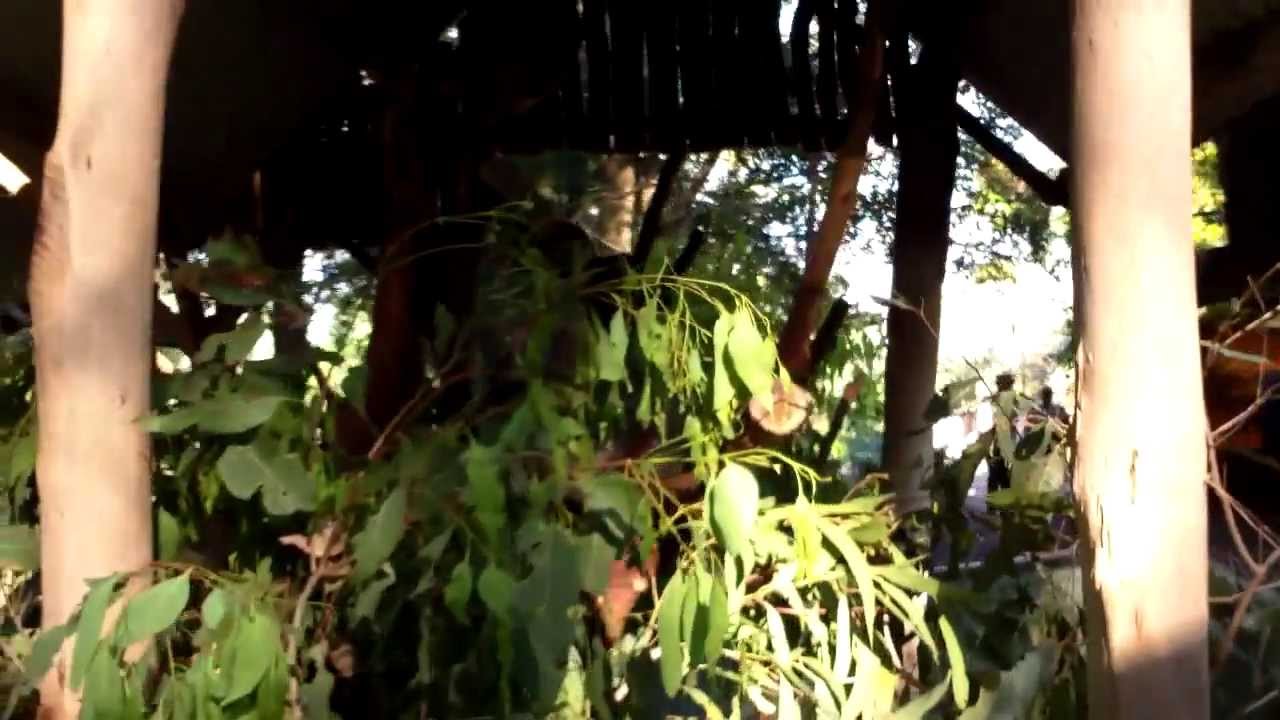 Manila Luzon & Chanel Do Australia