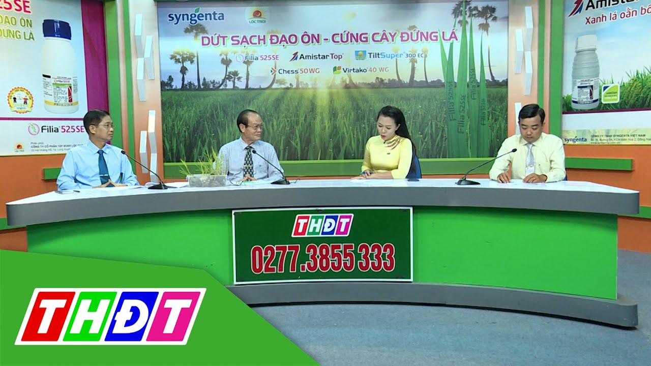 Dứt sạch đạo ôn - Cứng cây đứng lá | Tư vấn khuyến nông - 15/3/2021 | THDT