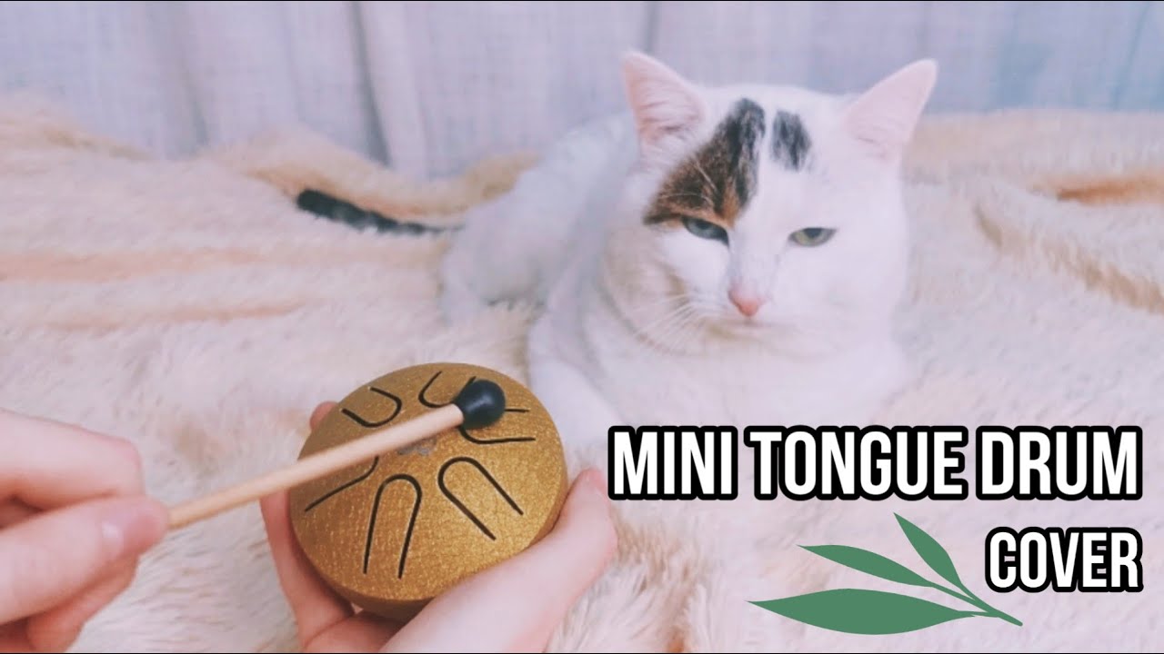 茉莉花 - Mo Li Hua | 3 inches 6 Note Mini Tongue Drum Cover | #tankdrum #hluru #tonguedrum