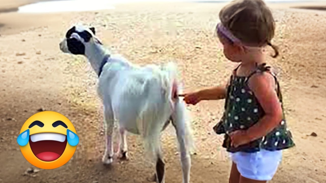 Try Not to Laugh Challenge #3 🤣 Best Fails of the Week