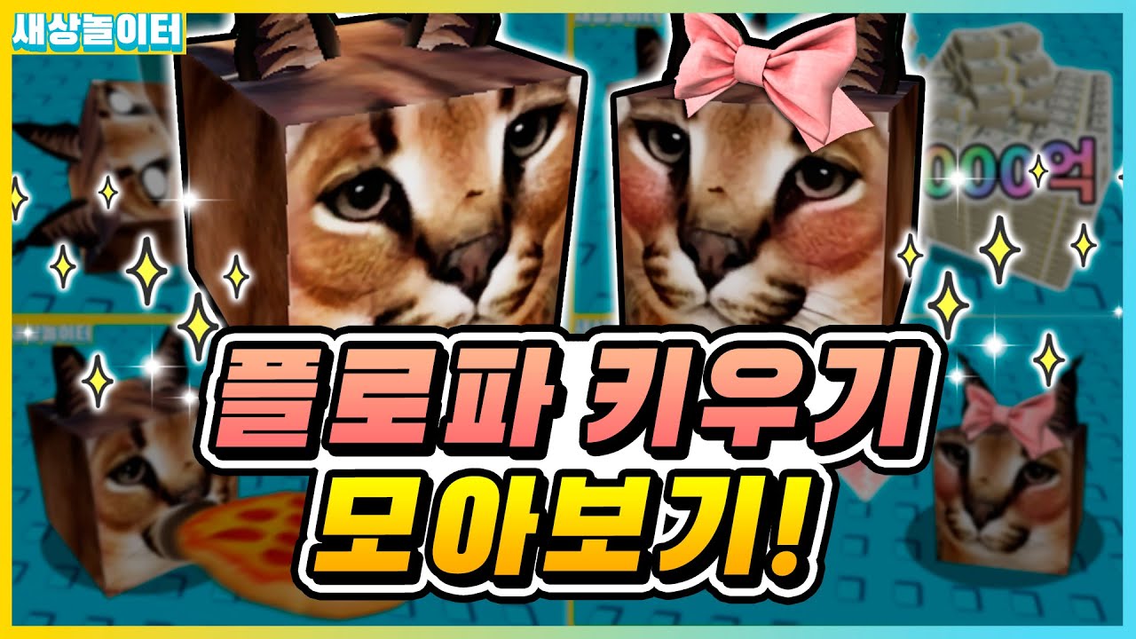 플로파 키우기 모아보기!! 몇 살까지 자랄까요!?🐱 [로블록스] 새상놀이터