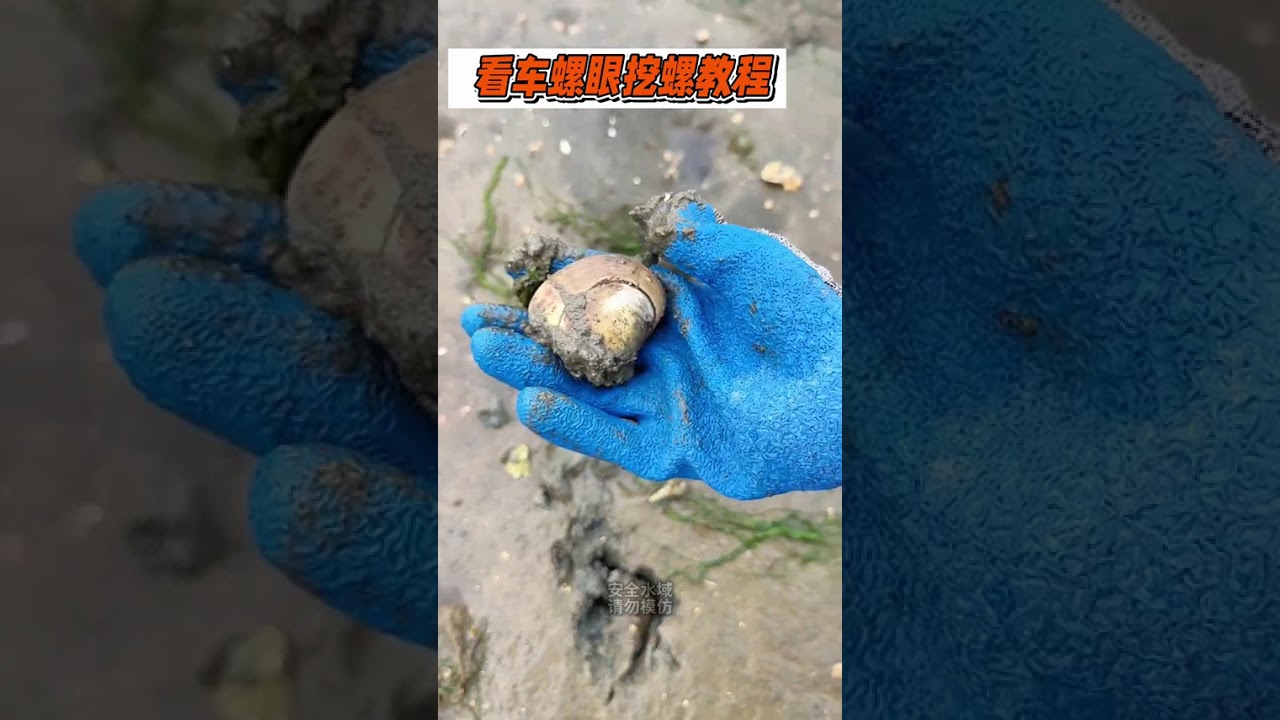 To unlock the joy of beachcombing first take a look at the real income of a beachcombing p