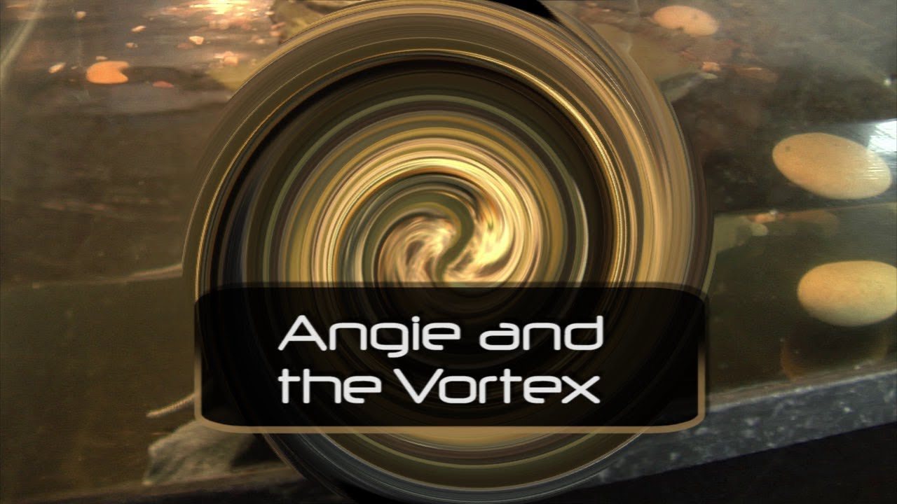 Angie and the Vortex