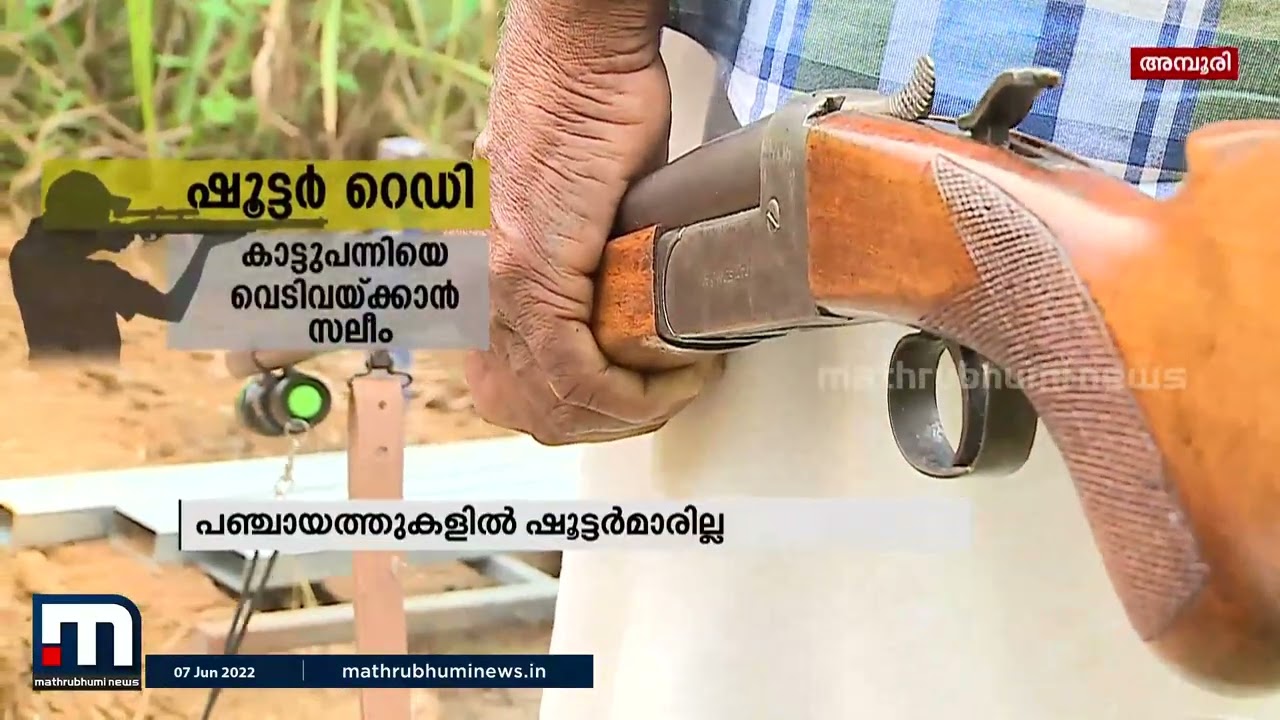 കാട്ടുപന്നിയെ വെടിവയ്ക്കാൻ ഷൂട്ടർ റെഡി | Mathrubhumi News