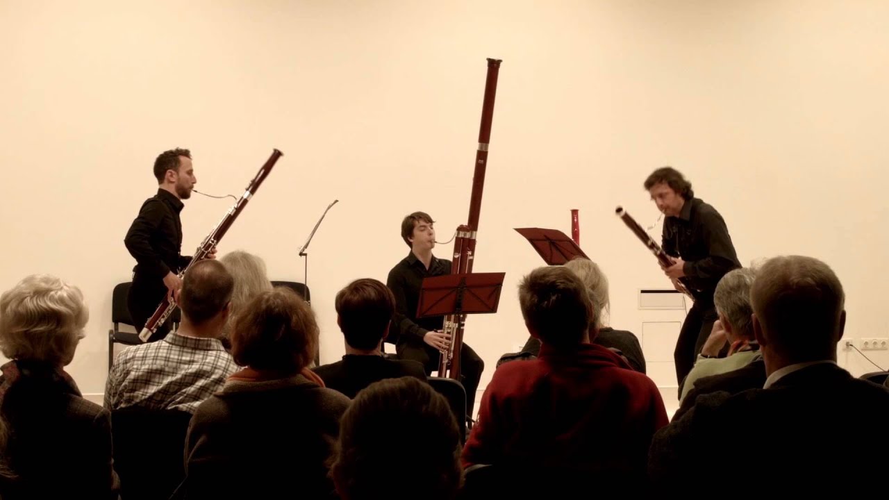 Camille Saint-Saëns: The Elephant for Contrabassoon