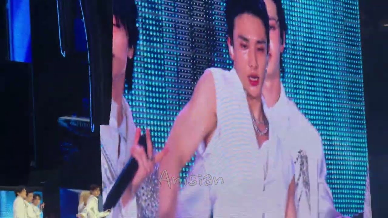 [250531] Stray Kids [스트레이 키즈] Back Door + Team SKZ Dance Break Fancam in LA D1 dominATE Tour