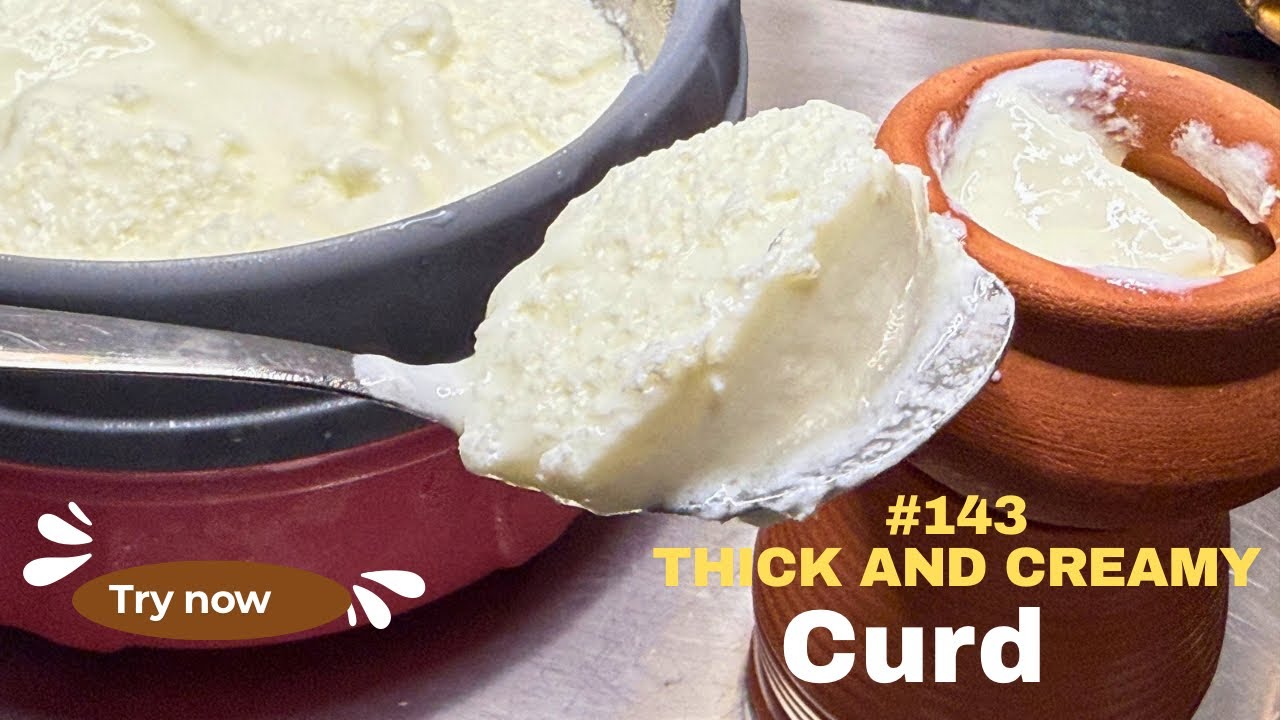 Homemade Curd Recipe | No Fail Method |Dahi Banane ka Tarika | Homemade Curd in 5 Simple Steps