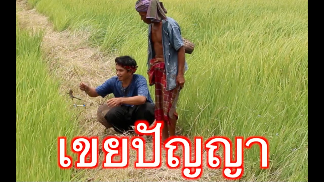 นิทานก้อม พ่อตาลูกเขย ตอนเขยปัญญา โดยเทคเกอร์ ออดิโอ