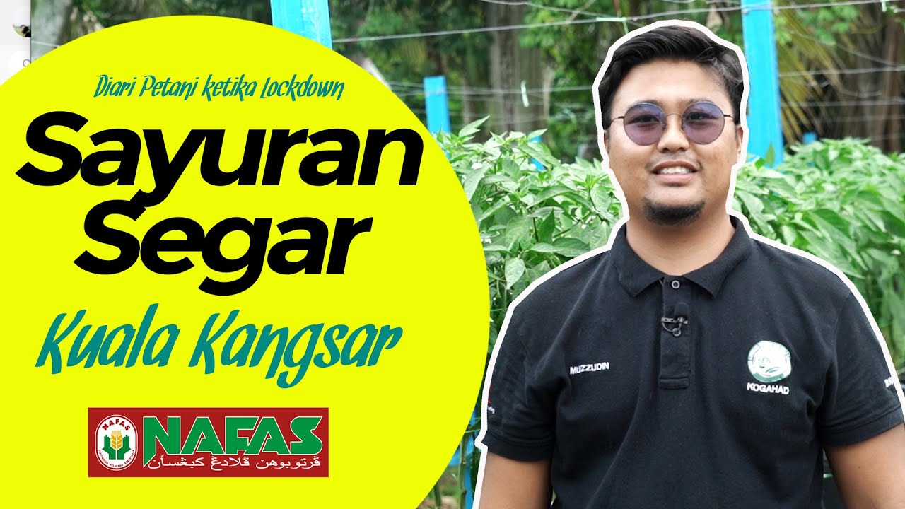 Petani muda raih puluhan ribu hasil kerja keras