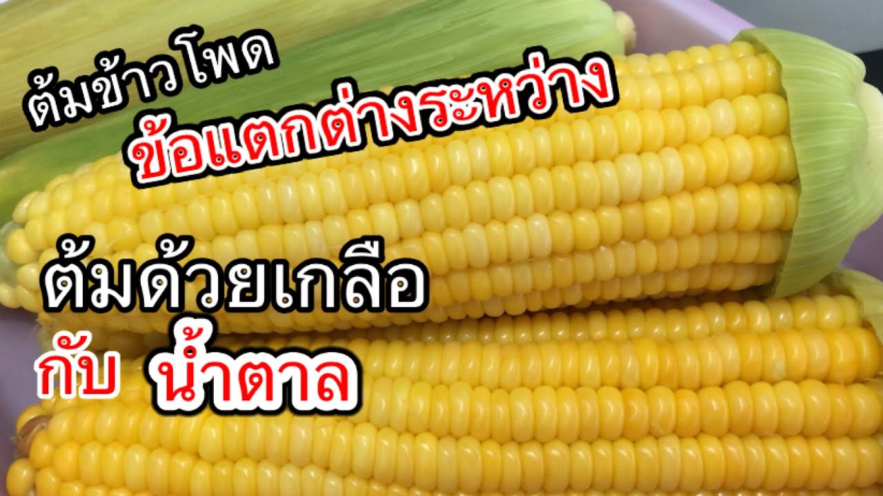 Варёная кукуруза: как варить кукурузу на продажу, добавлять соль и сахар, в чём разница? Постройт...