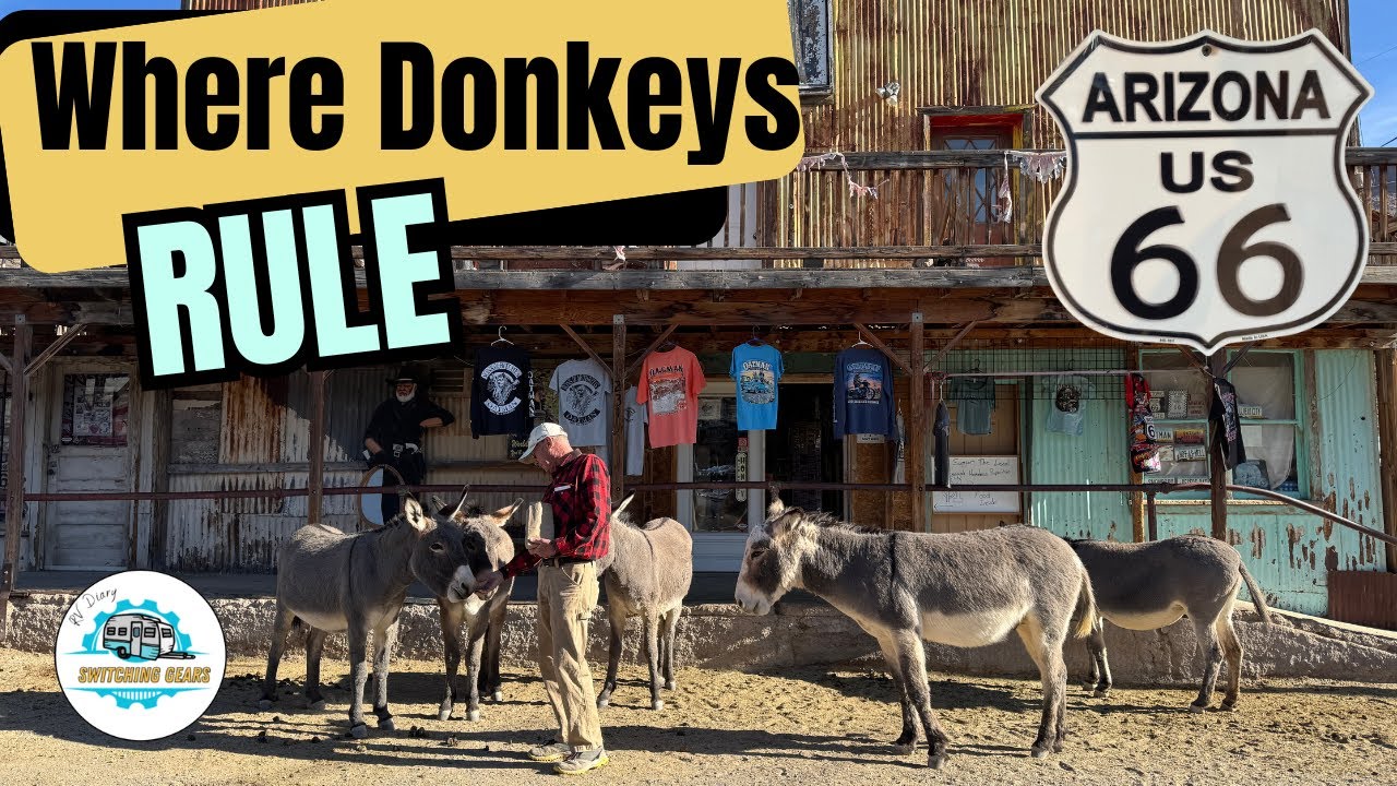 Exploring Route 66 & Donkey Town 🐴✨ | Historic Oatman, Wild Donkeys & Desert Road Trip! 🚐🌵