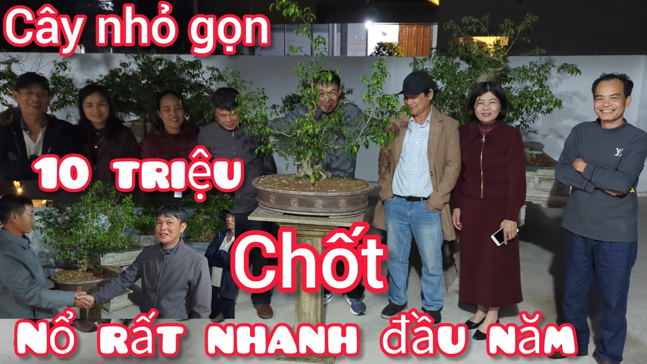 Chốt rất nhanh tác phẩm mini đẹp 10 triệu ngày đầu xuân anh phúc có lộc lớn ngày đầu khai xuân 