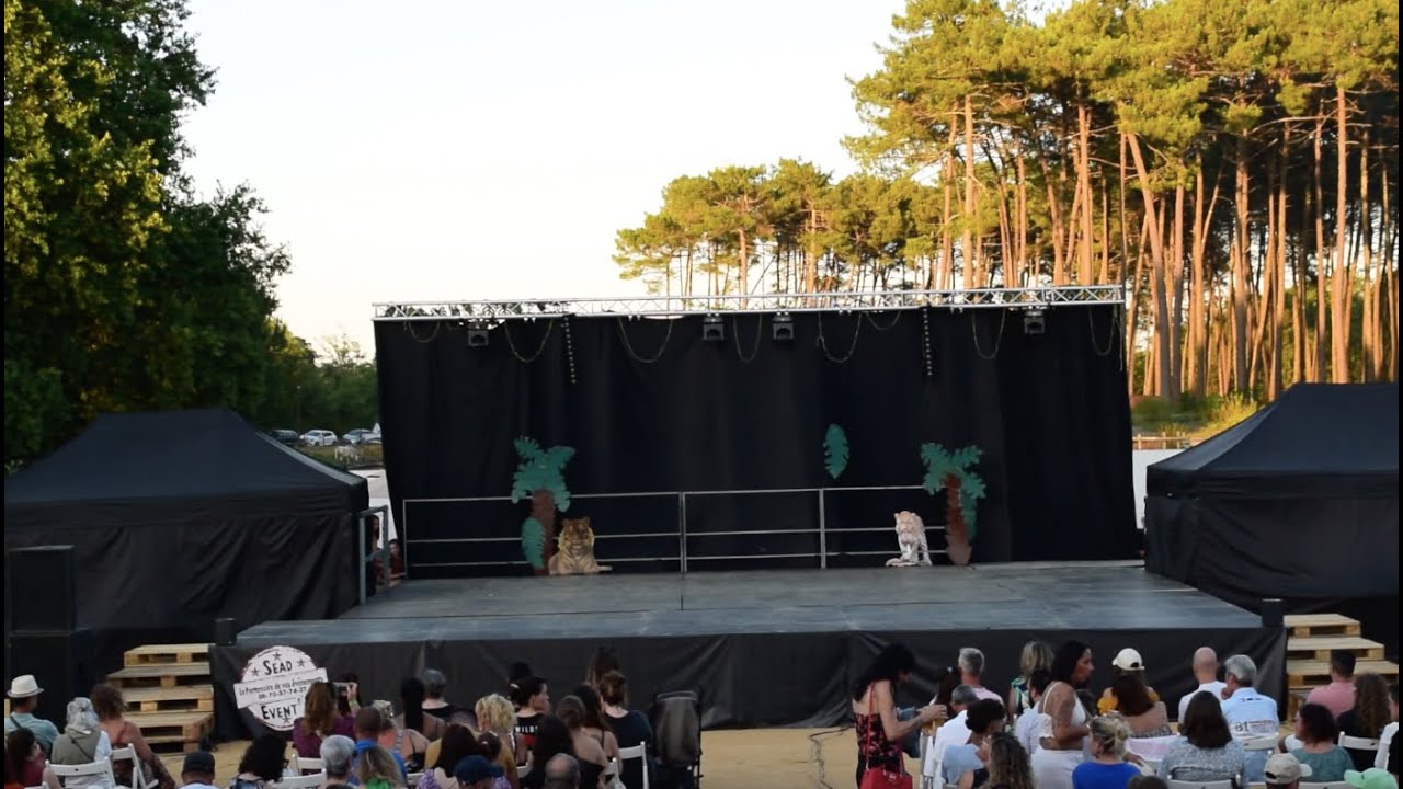 1.VOYAGE À TRAVERS LA JUNGLE