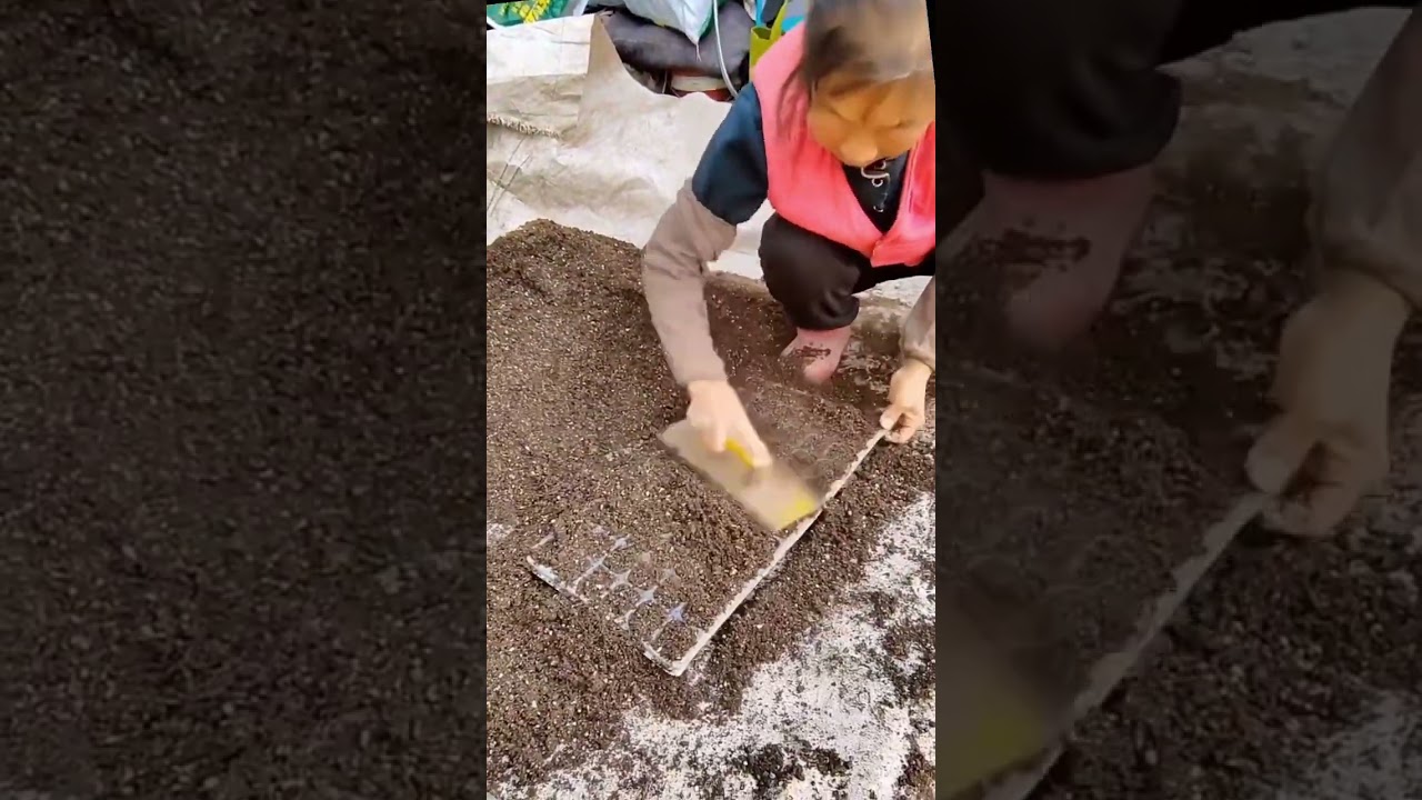 Vegetable seedling nursery board making process
