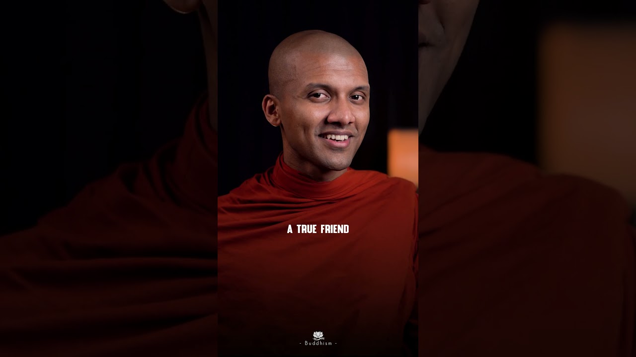 What Is a True Friend? | Buddhism In English   #fyp #trending #foryou