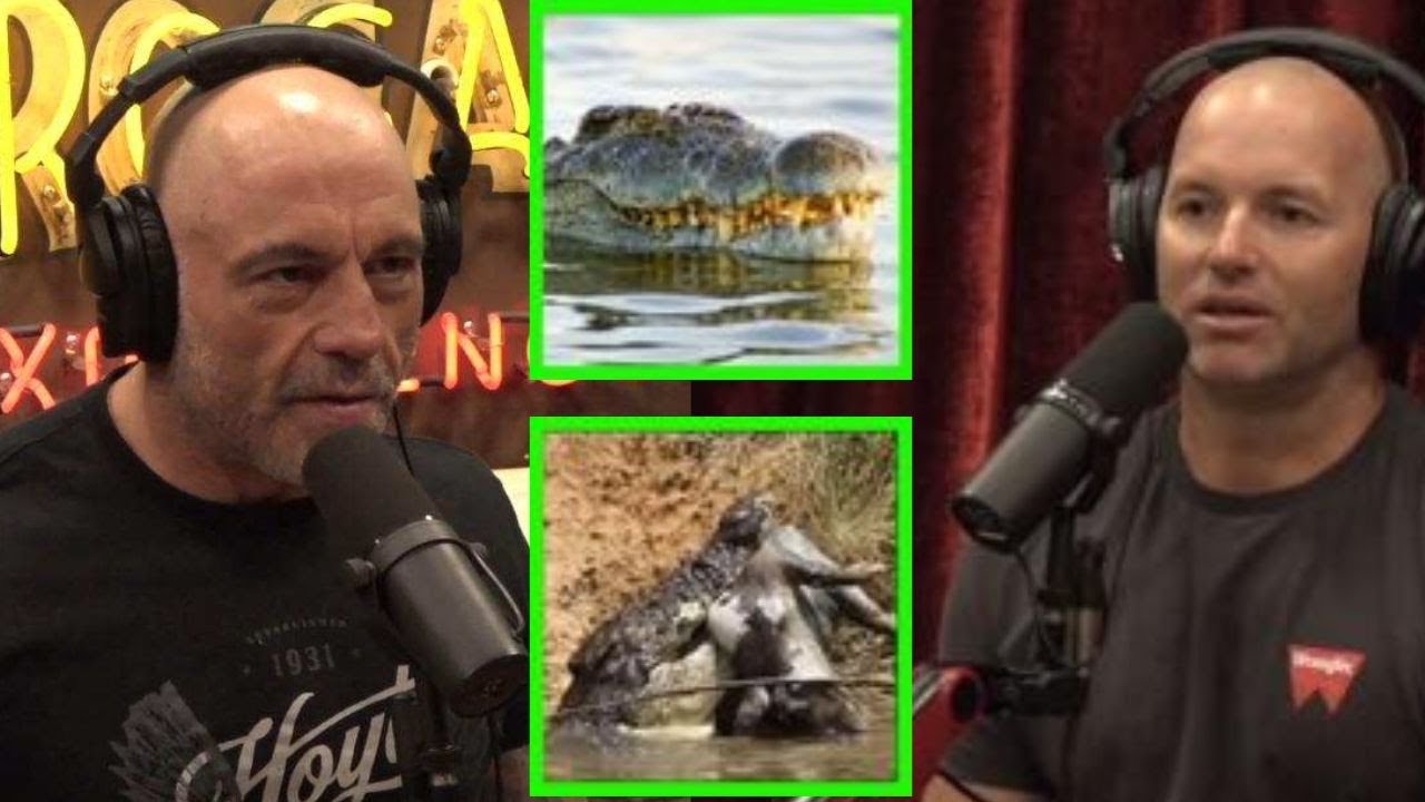 Adam GreenTree Tells Joe Rogan About His Encounter With A Monster SaltWater Crocodile