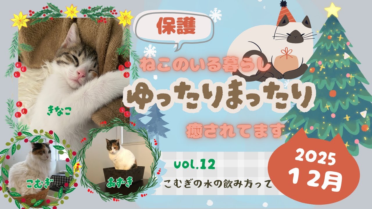 ゆったりまったり保護ねこと暮らすvol.12（I live a relaxed life with three rescued cats.）