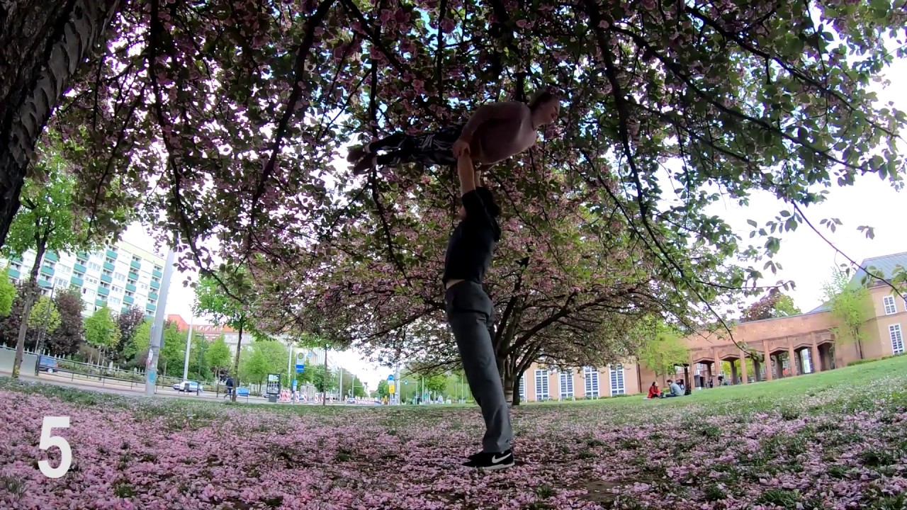 6 Creative Swings into High Bird - Acrobatic Elements Workshop