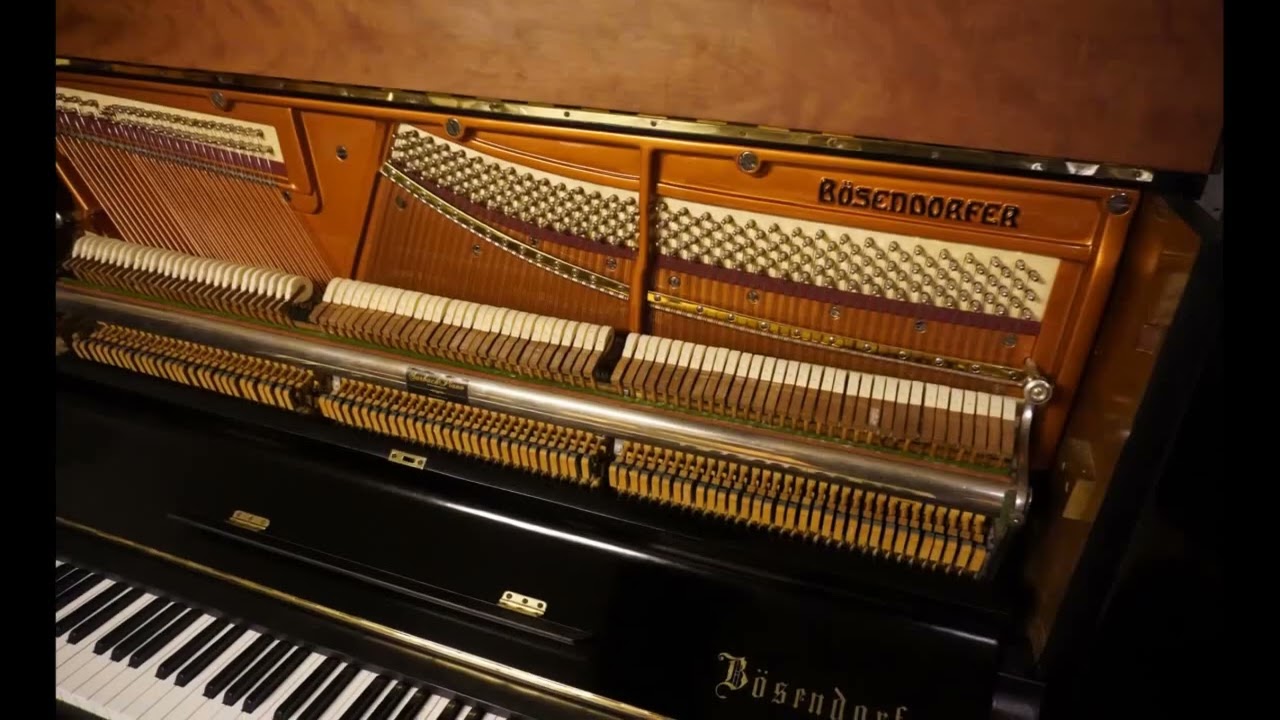 B&ouml;sendorfer 130 23300