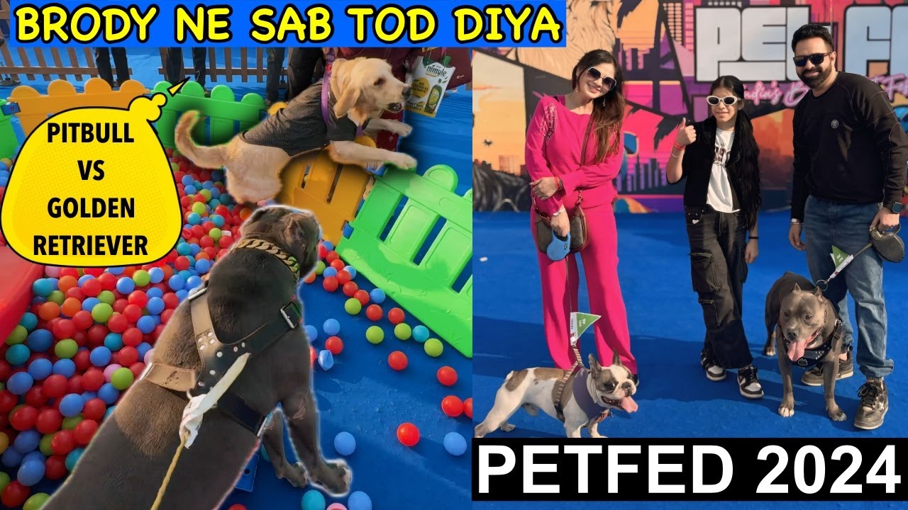 Brody Ne Sab Tod Diya | Petfed Delhi 2024 | Best Outing for Dogs