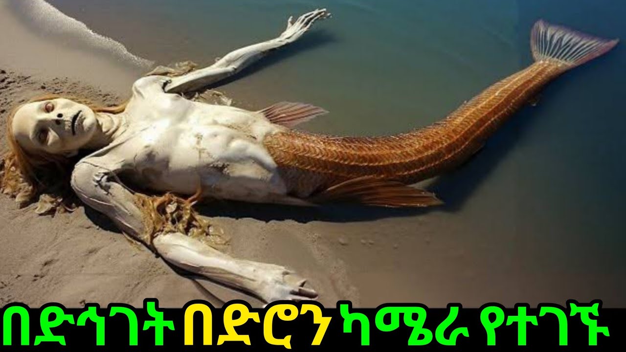 በድንገት በድሮን ካሜራ የተገኙ አስገራሚ ነገሮች