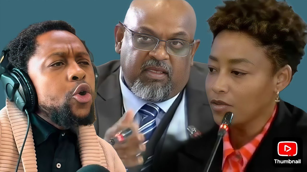 Advocate Behari caught lying in Madlanga Commission of enquiry 