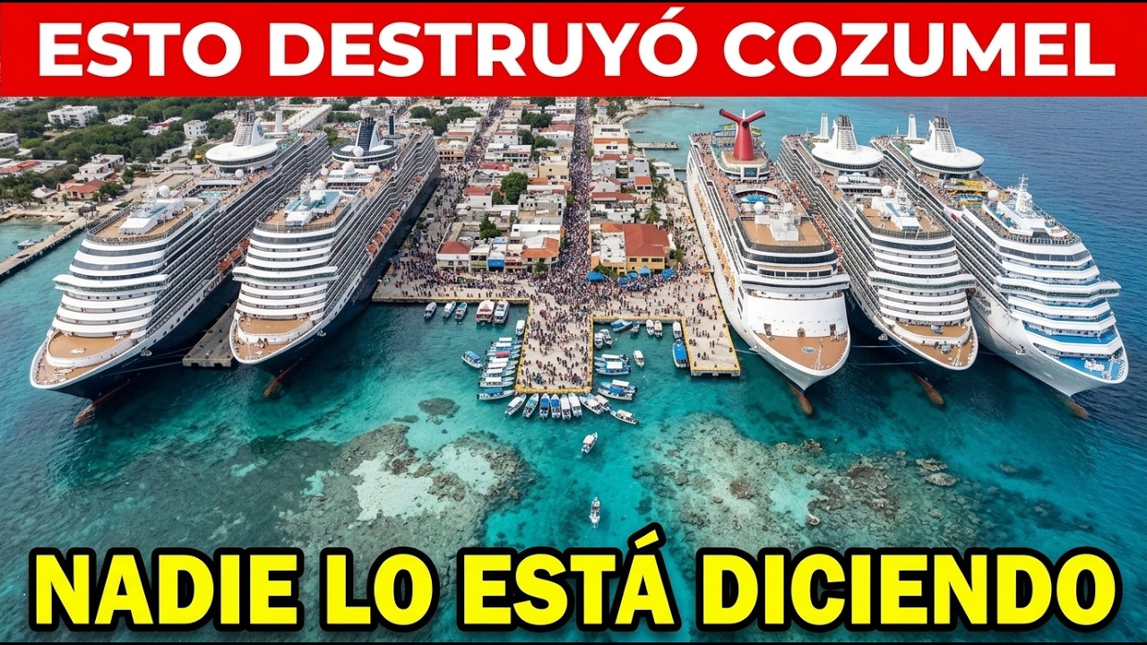 Cozumel Ya No Existe: Cómo los Cruceros Destruyeron la Isla Más Bella del Caribe