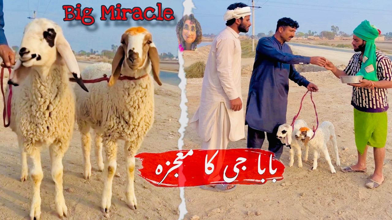 Babaa Ka Hath Mn Kysa Pani Tha? 🤔 | Babaa Ka Hath Ka Kmal 😂