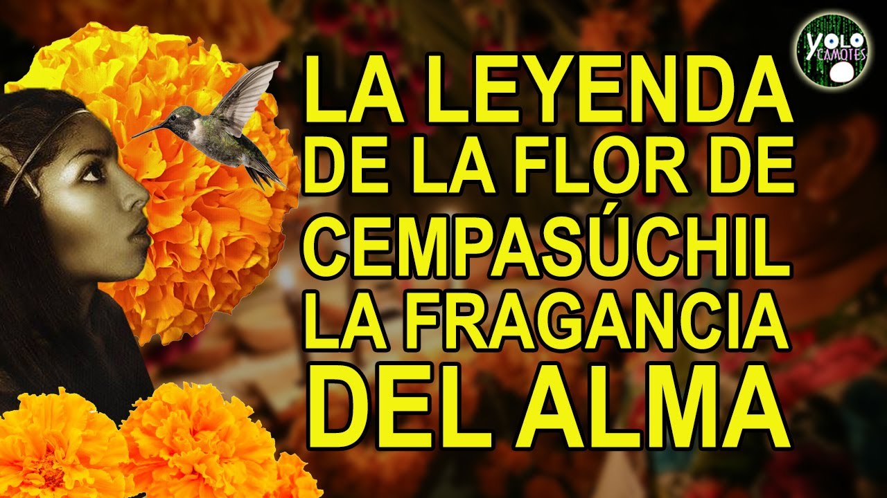 La leyenda de la flor de cempas&uacute;chil &ndash; la fragancia del alma