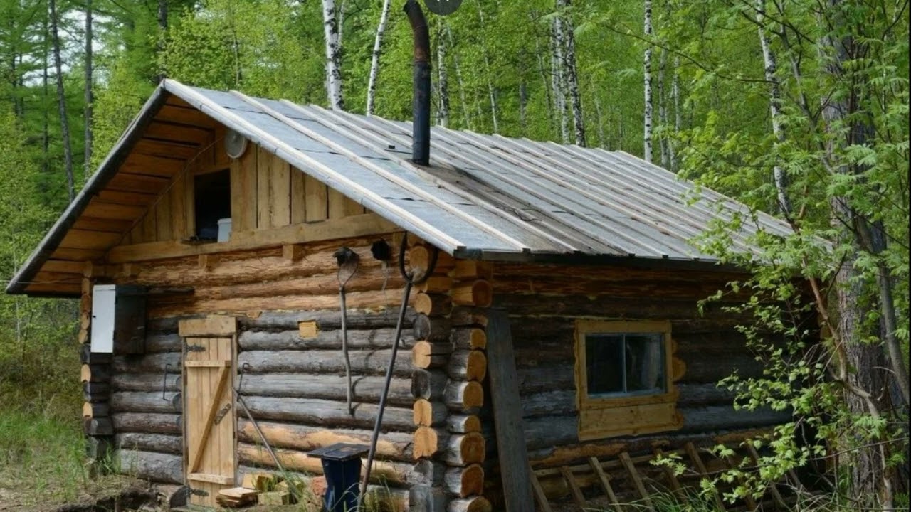 Рассказ старого охотника.  Часть 2 .  Волки