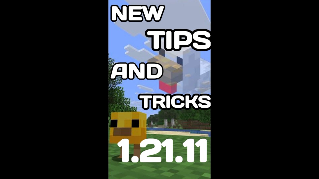 BEGINNER TIPS FOR MINECRAFT 1.21.11 