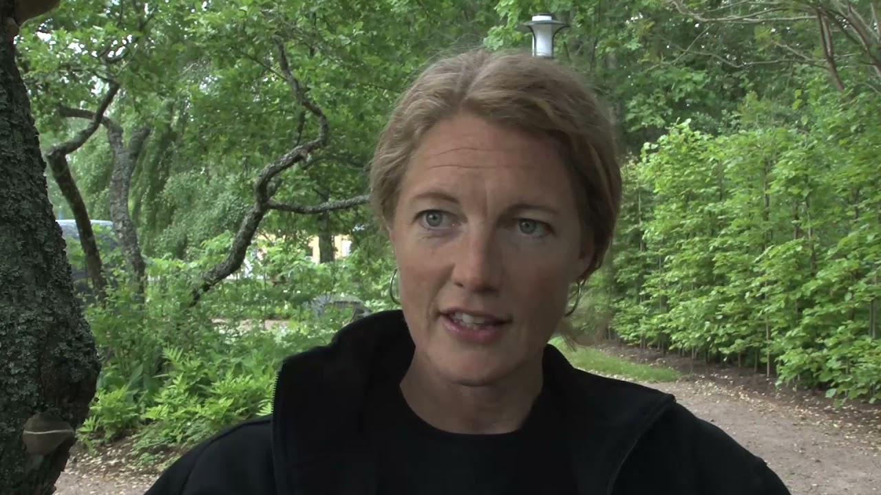 Astrid Lindgrens  N&auml;s