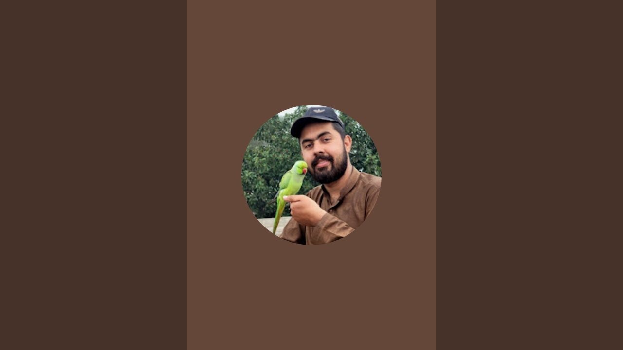 Mr Naqeeb  is live