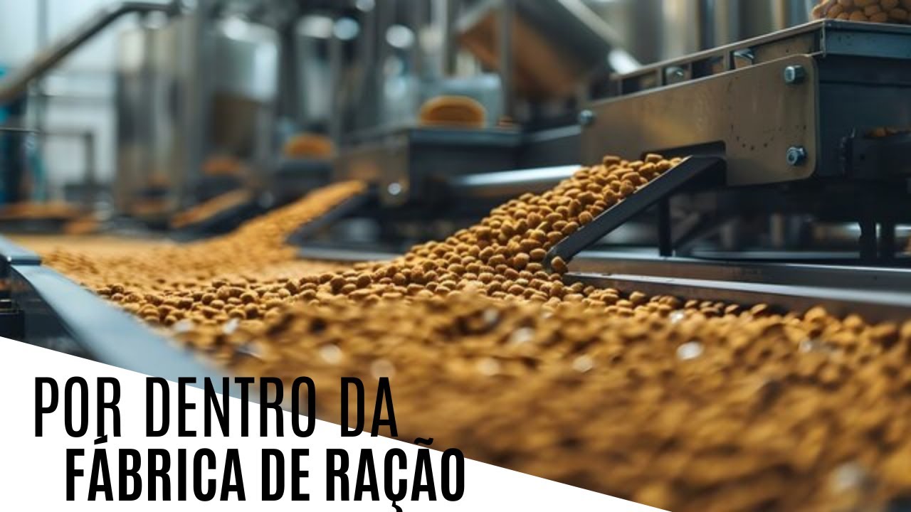 COMO É FEITA A RAÇÃO DO SEU CACHORRO?