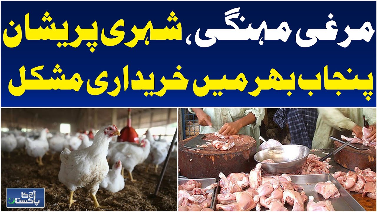 Chicken Prices Surge in Punjab | Poultry Cost Hits 500-600 PKR per Kg | Market Update - Aaj News