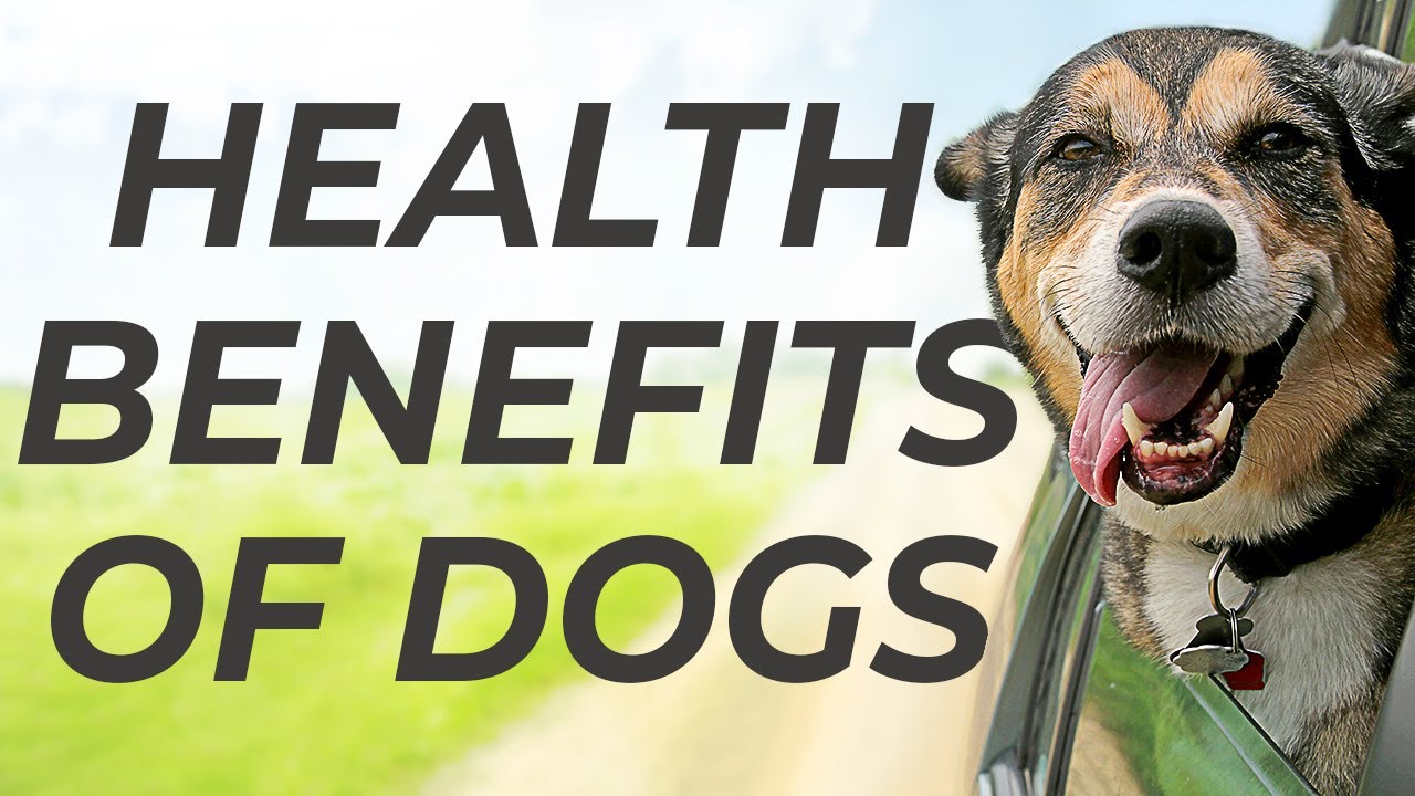 The Health Benefits of Dogs
