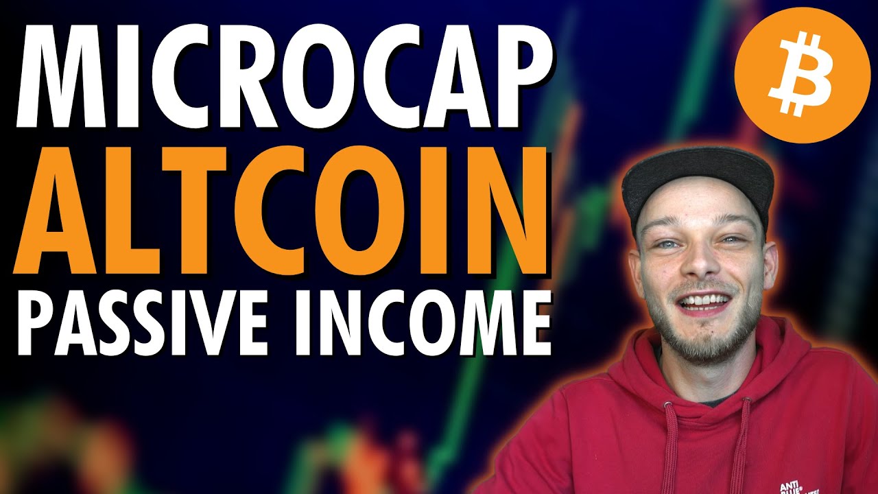 I Created This Microcap Token With a HUGE Utility! How To Make A Passive Income With $WDYM