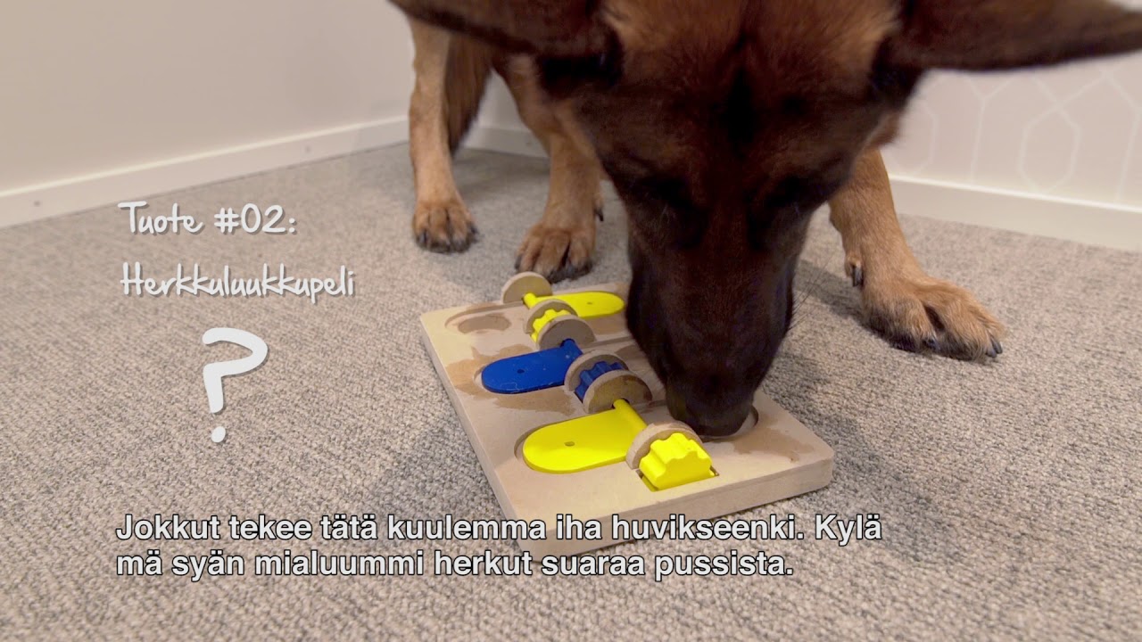 Jakso 13: Topi &ndash; Vain Koiranel&auml;m&auml;&auml; / Tuotetestaus