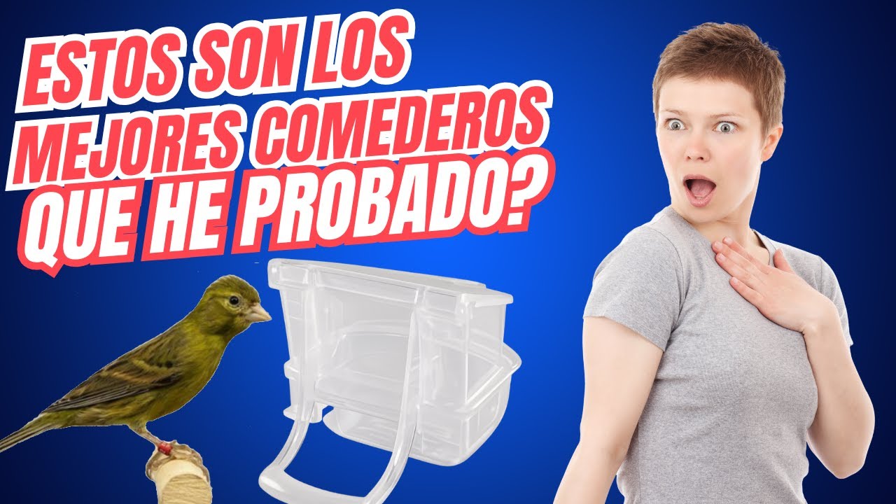 COMEDERO + TOLVA PARA EL AVIARIO