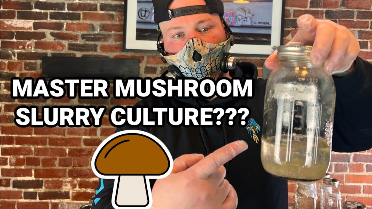 Master Slurry Culture | Liquid Culture... But Better! (Part 2)