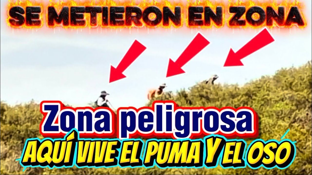 Zona  peligrosa donde vive el puma🐆 i el oso 🐻  cuidado