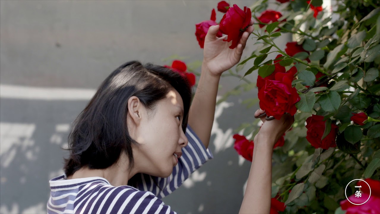 崇明島上的花園房