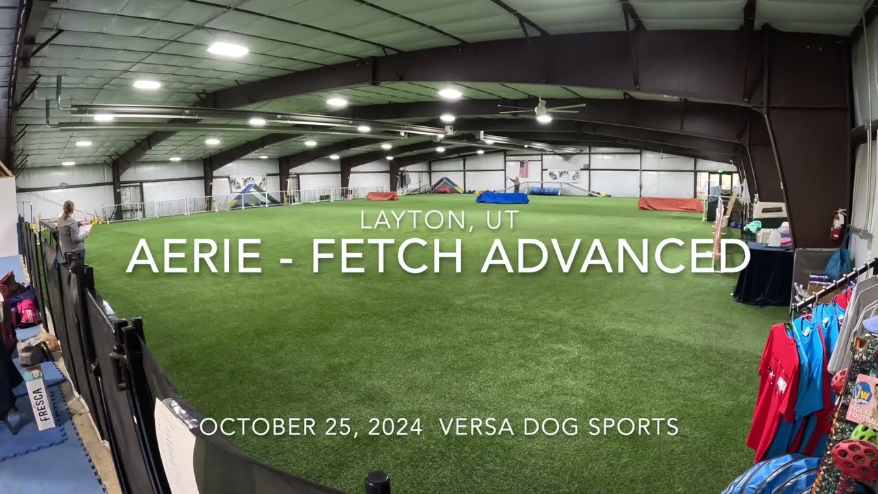 Fetch Advanced Test at Versa