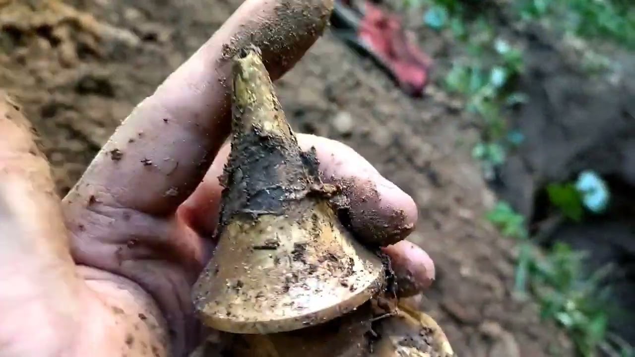 Немецкая мусорка ПМВ. Пикельхельм и бутылки. / German WW1 bottle junkyard