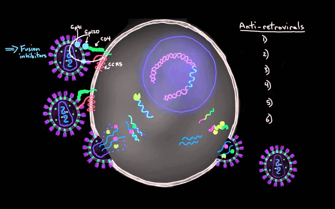 Khan Academy - Treating HIV: Antiretroviral Drugs